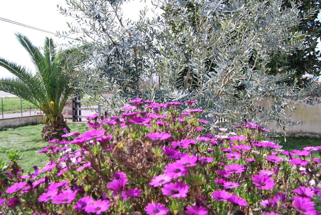Agriturismo Torre Cristina Aprilia Exterior photo