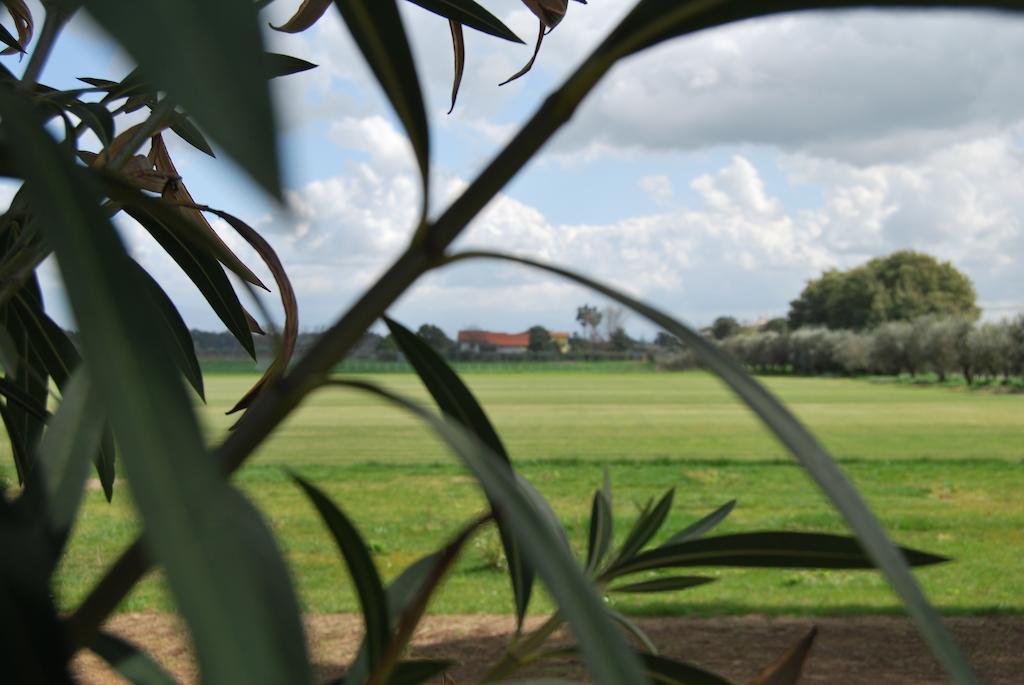 Agriturismo Torre Cristina Aprilia Exterior photo